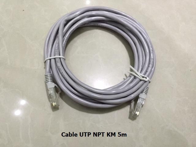 [HCM]CÁP UTP CAT 5 KM 5m TY050