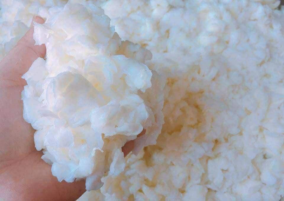 Thạch dừa viên dùng làm thạch trà sữa (2kg )