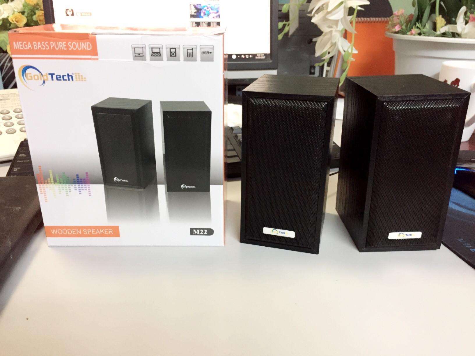 BỘ 2 LOA VI TÍNH GỖ GOLDTECH M22