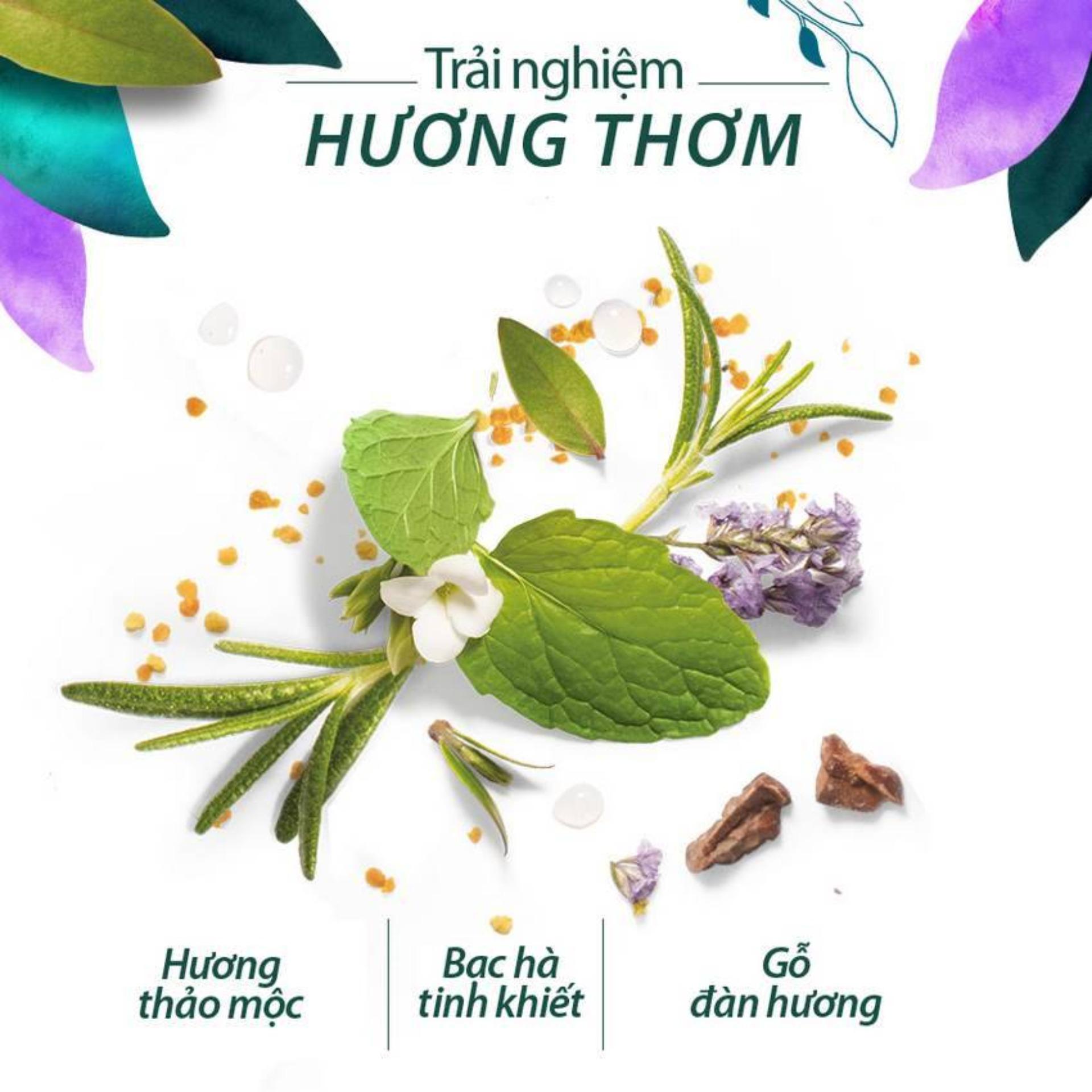 Dầu Gội Herbal Essences Thảo Mộc & Hương Thảo 400ml