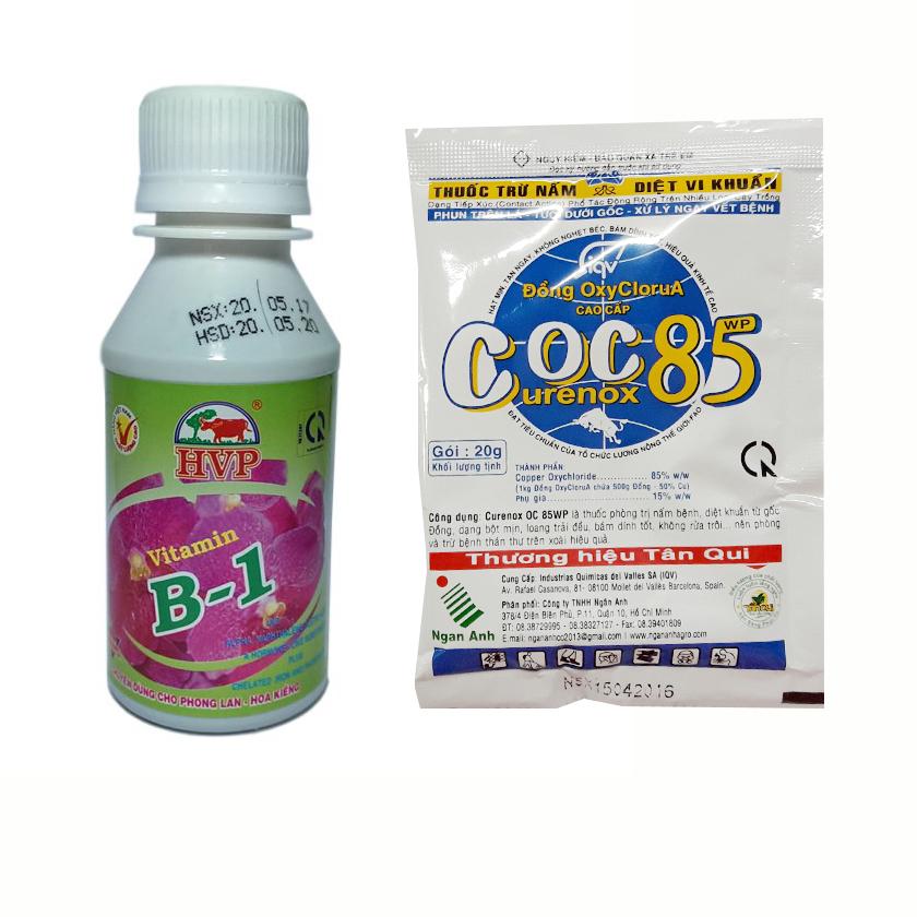 Combs recover weakened orchid (coc 85 and Vitamin B1 HVP)