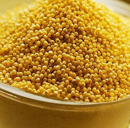 Hạt kê 100g