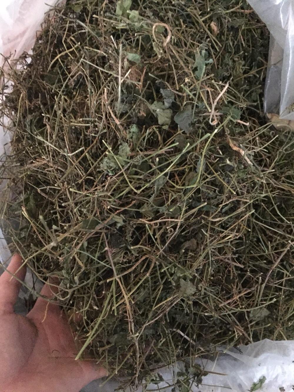 Giảo Cổ Lam [1kg]