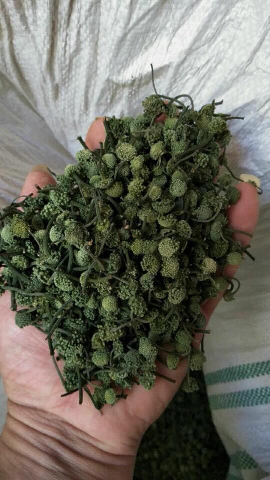 NỤ HOA TAM THẤT BẮC SẠCH ĐẢM BẢO