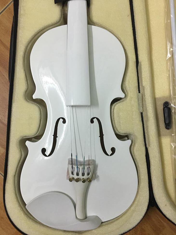 [GIAO NGAY] Đàn Violin gỗ cao cấp - Vĩ cầm 4/4 tặng full phụ kiện - HÀNG CÓ SẴN