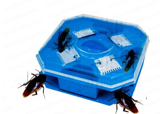 [HCM]Dụng cụ bắt gián( hộp bẫy gián)