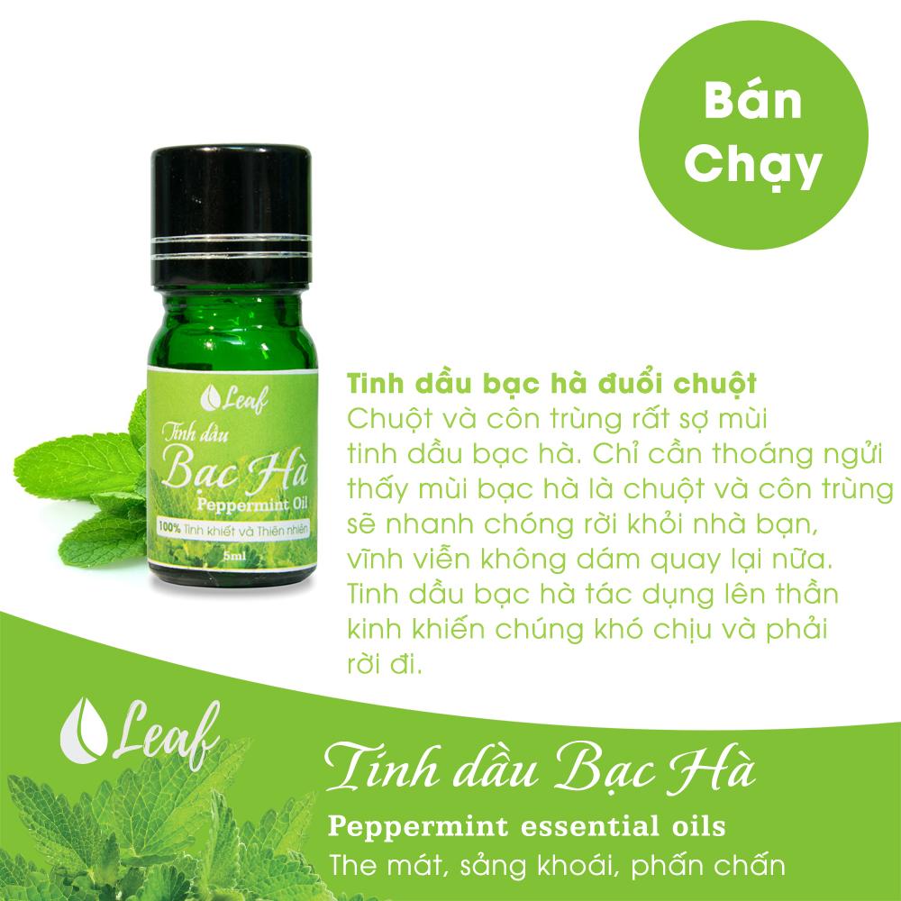 Tinh dầu Bạc hà Leaf 5ml