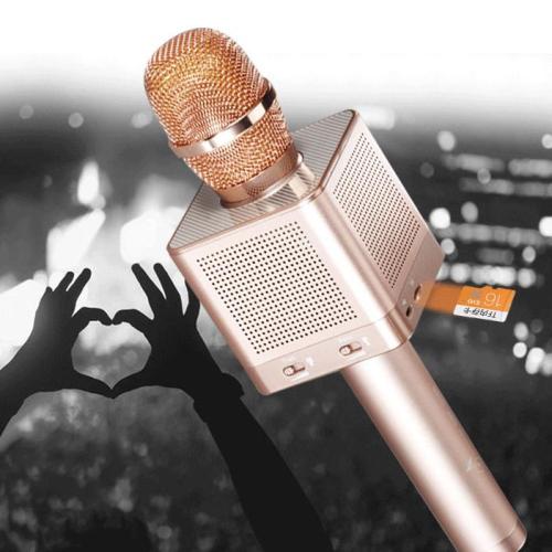 Micgeek Q10S DSP Wireless Bluetooth Karaoke Microphone