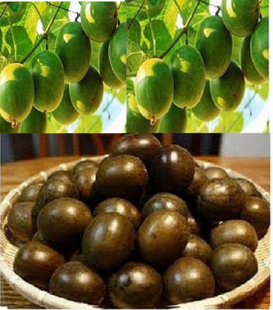Trà Quả La Hán  Túi x 500g có Tặng Quà