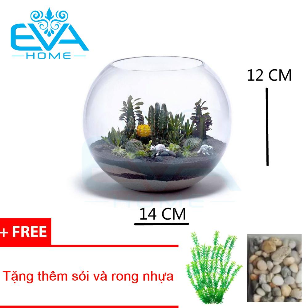 Bể cá chậu cây thủy tinh 14CMx12CM T01 ( Tặng kèm bịch sỏi và bịch rong biển )