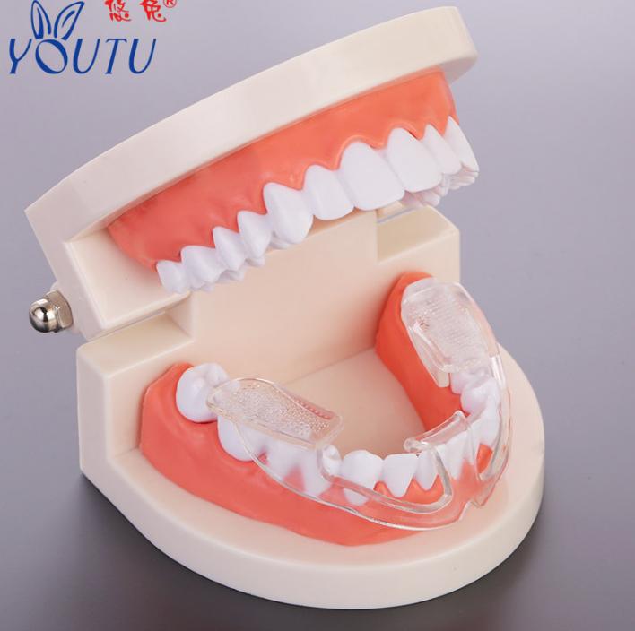 2 máng dụng cụ cho người nghiến răng chăm sóc răng miệng, bảo vệ răng, kỹ thuật của nhật