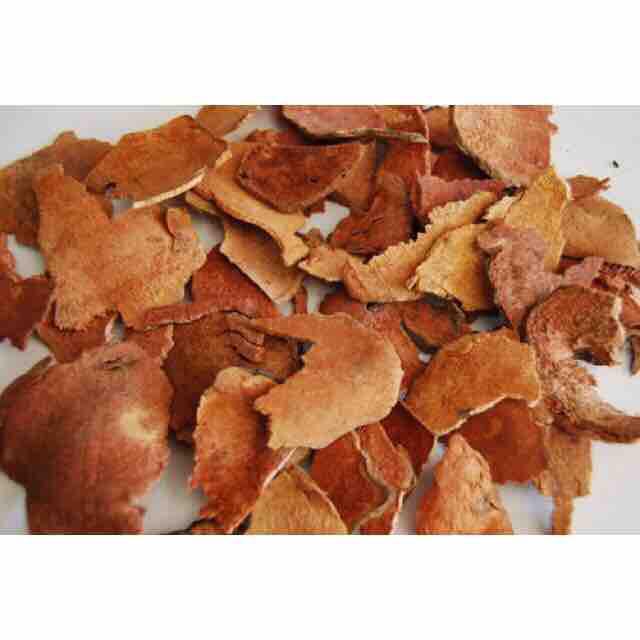 Cây Khúc Khắc Túi 1kg