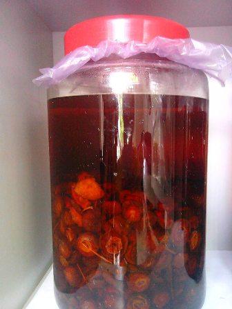 Quả táo mèo khô 1kg