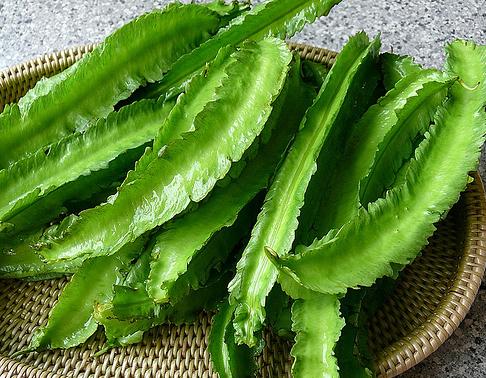 Hạt Giống Đậu Rồng Cao Sản Phân Nhánh Mạnh