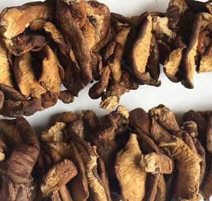 Nấm hương rừng 1kg