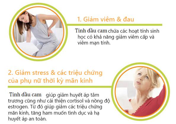 [HCM]Tinh Dầu Cam Đất Việt 10ml