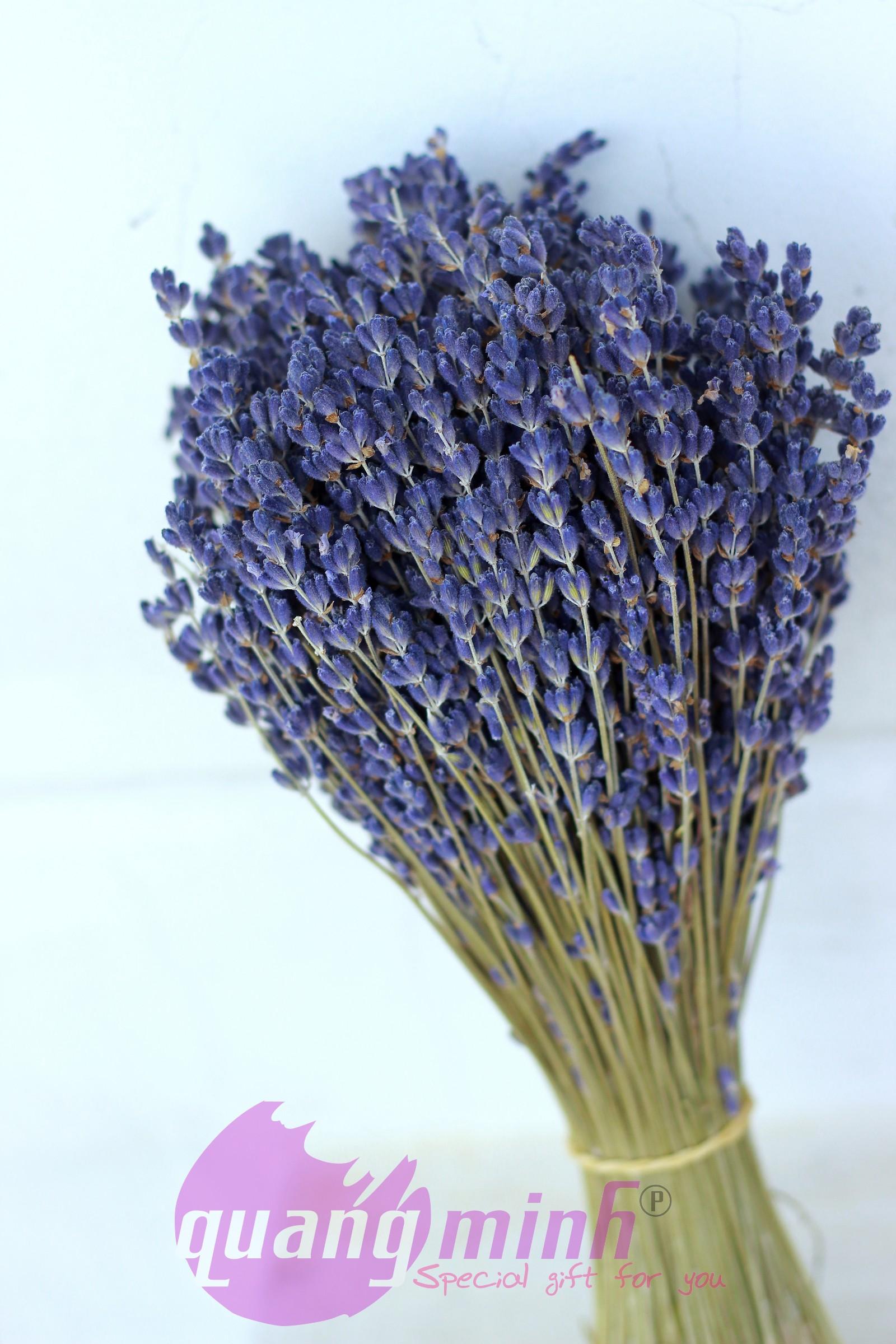 Bó hoa lavender khô thuần túy