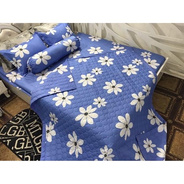 Bộ chăn hè poly nhiều mẫu lựa chọn