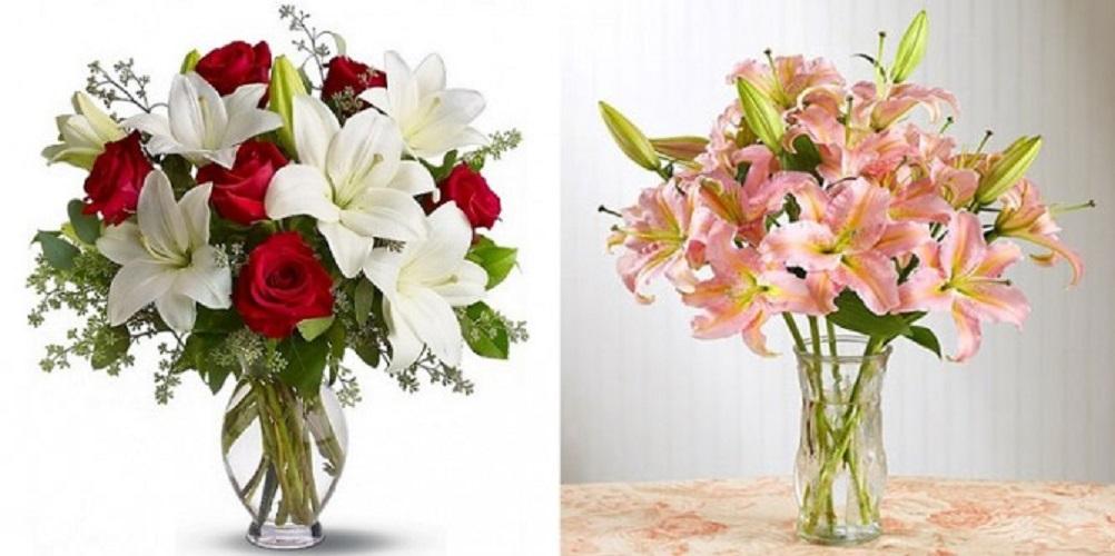 Combo 2  Chrysal dưỡng hoa lâu tàn