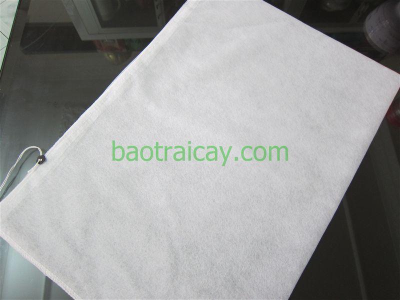 Bao trái cây Hoa Mai 50x70cm 100 cái