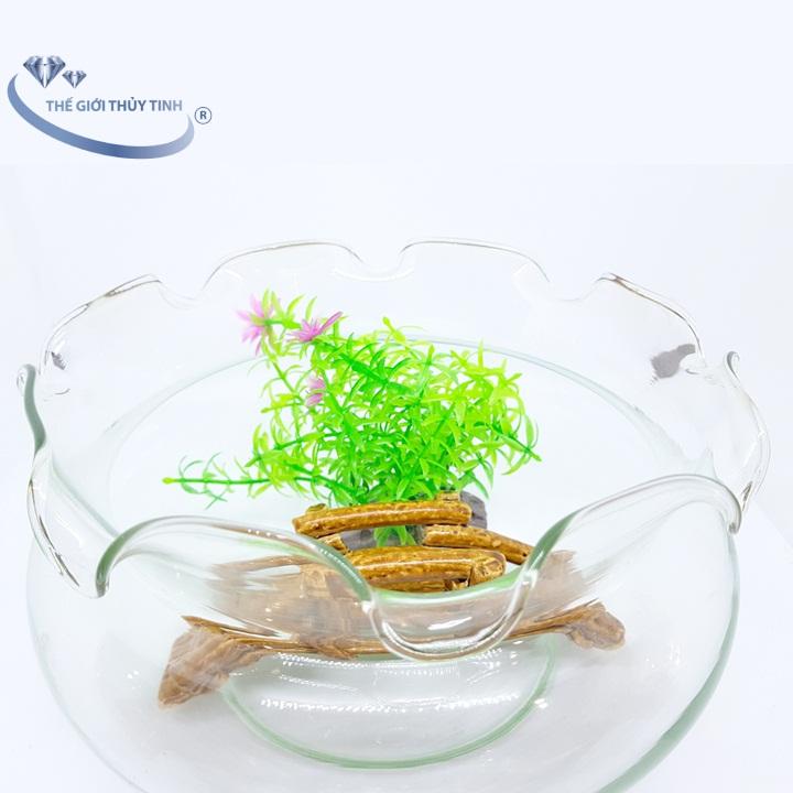 Bể Cá Mini Thủy Tinh Hồ Cá Miệng Bèo D17Cm X H16Cm - B11