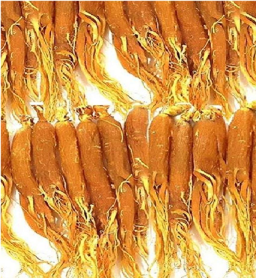 Hồng Sâm 3 Củ Tặng 150g Quả Kỷ Tử Đỏ sấy khô