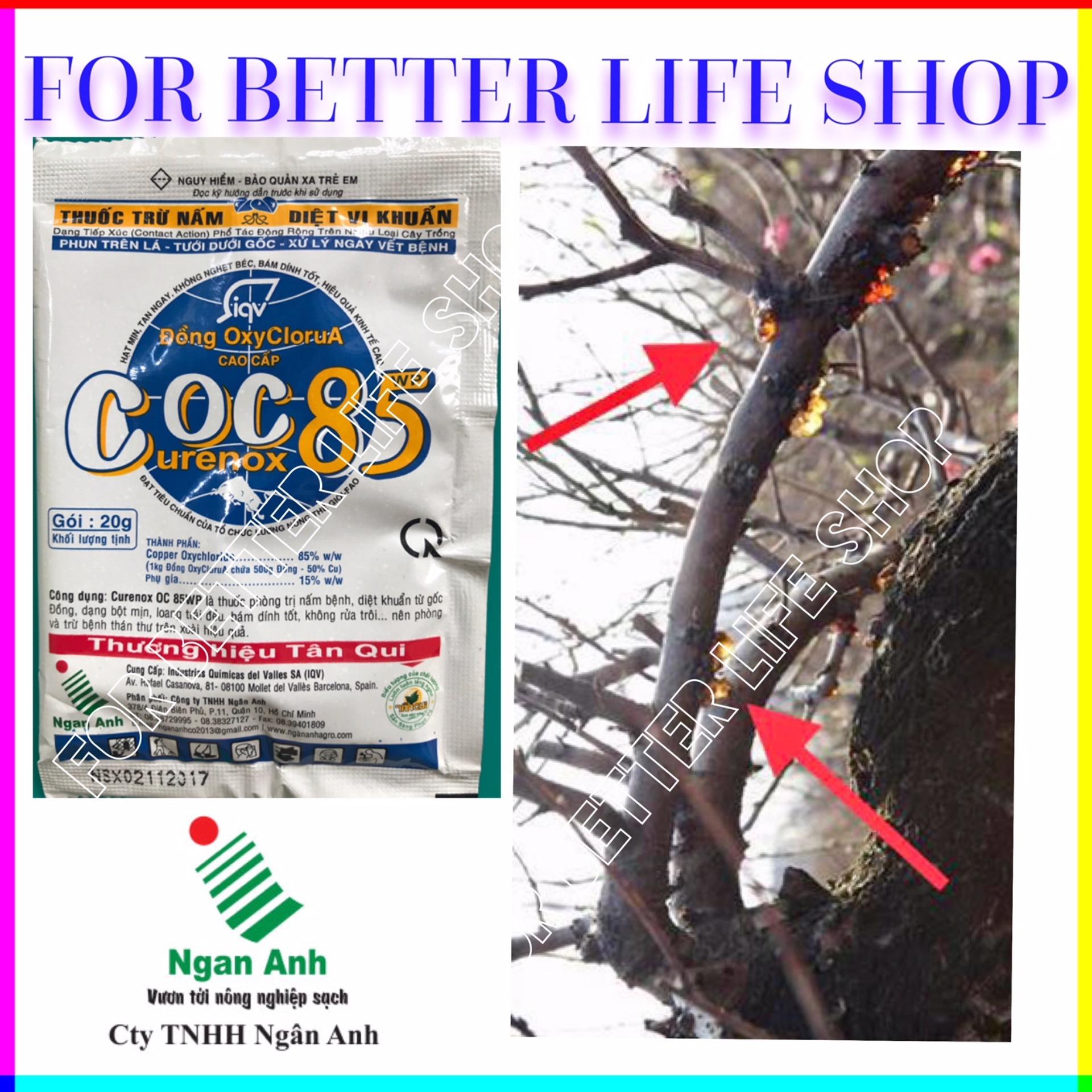 Bộ 10 gói Trừ bệnh mai vàng COC 85WP 20gram