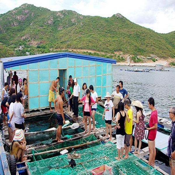TOUR ĐẢO BÌNH BA VƯƠNG QUỐC TÔM HÙM 2N2D