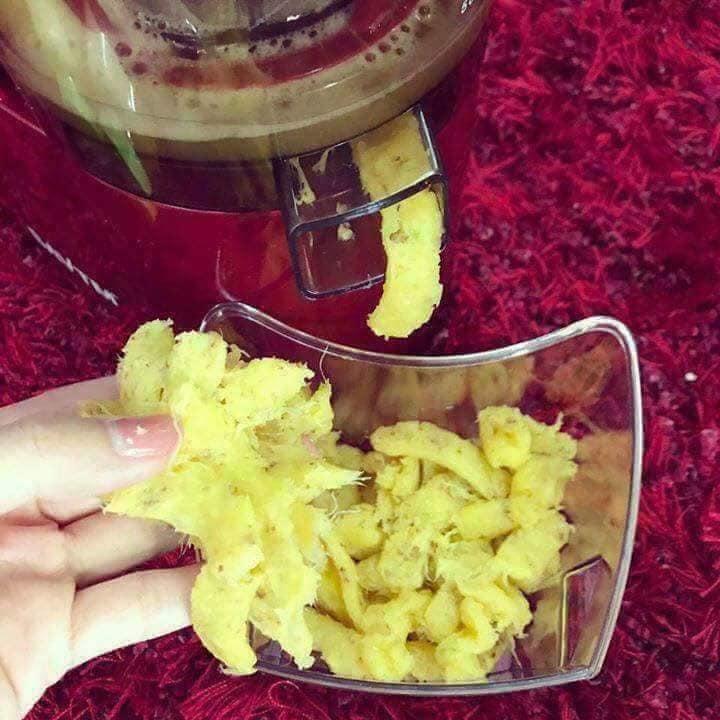 MÁY ÉP CHẬM HOA QUẢ MÃ SAVTM.