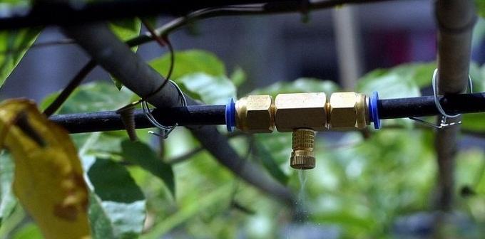 Cuộn dây phun sương ĐL 8mm dài 15m