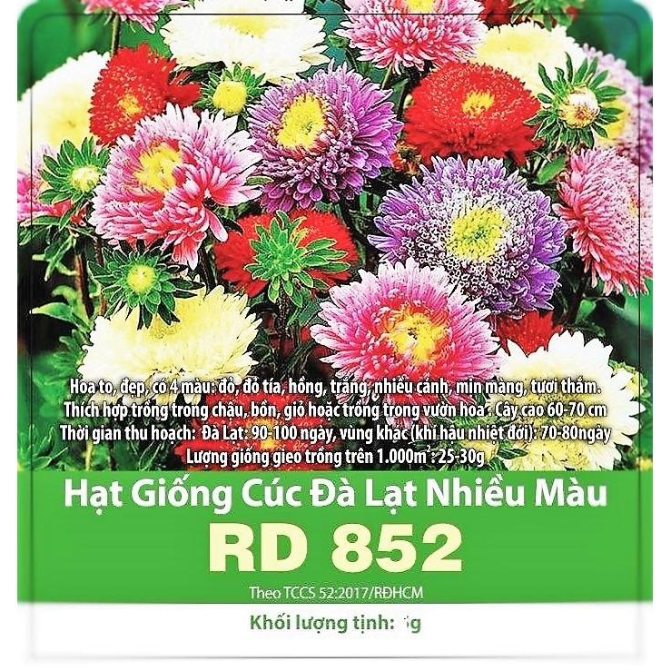[HCM]Hạt Giống Hoa Hà Lan -Cúc Đà Lạt nhiều màu RD852