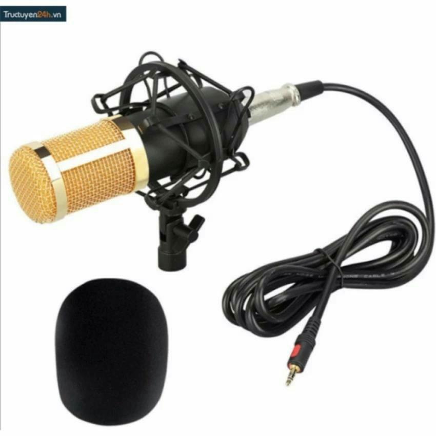 Combo sound v8 và mic bm800