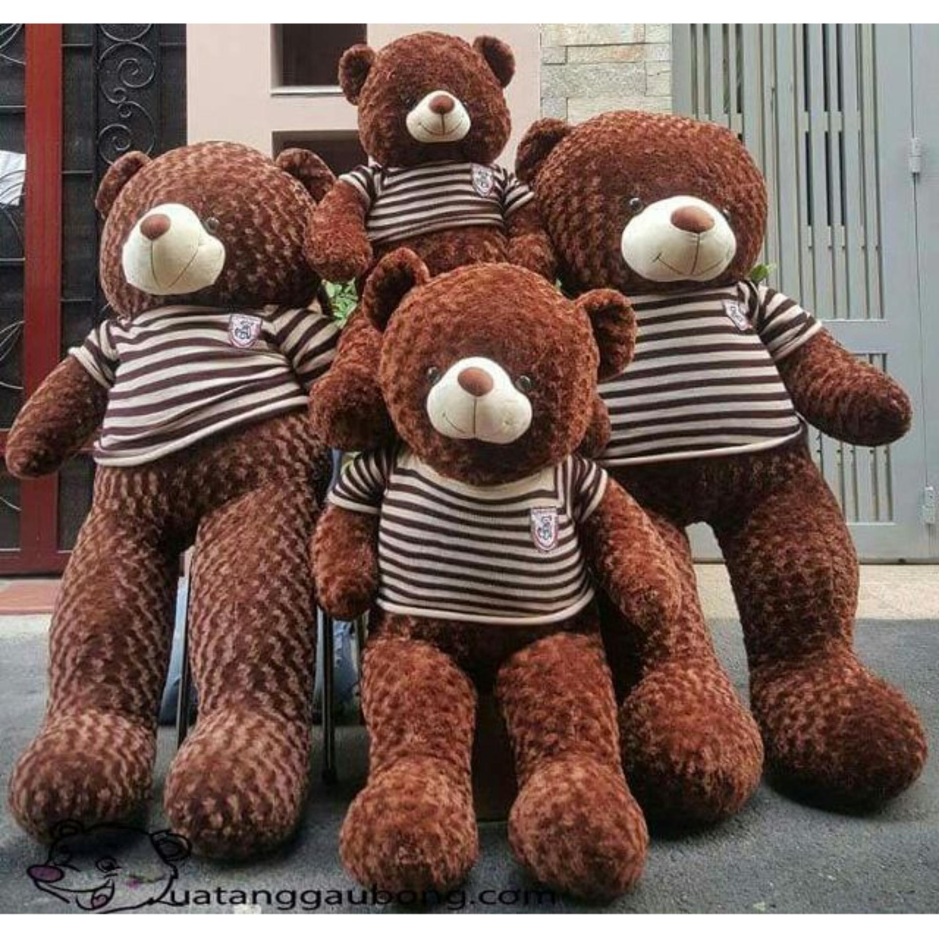 Gấu bông Teddy CAO CÂP KHỔ VAI 2M