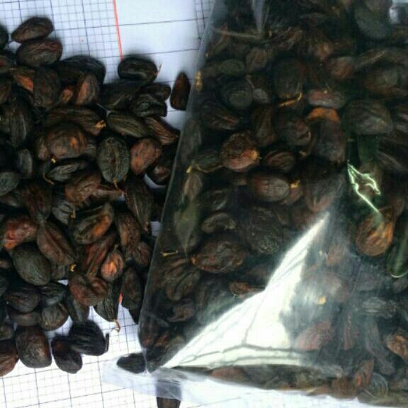 Hạt dổi rừng 100g