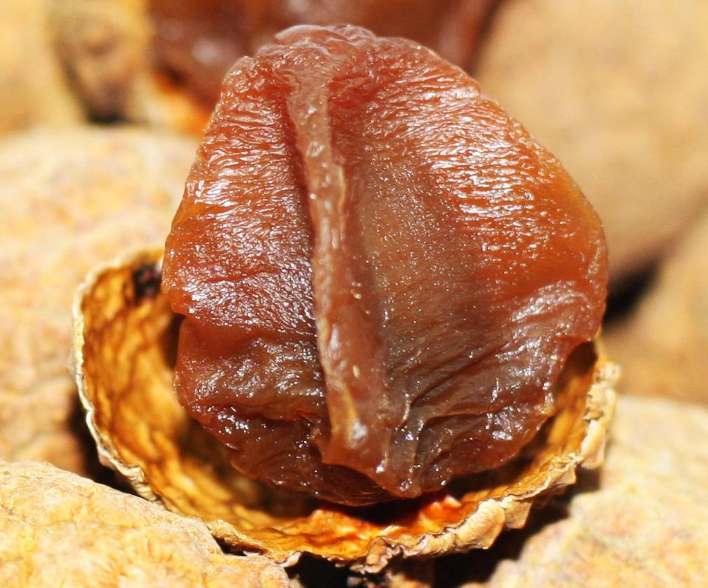 Vải Thiều Sấy Khô Bắc Giang Vinafruits 500g