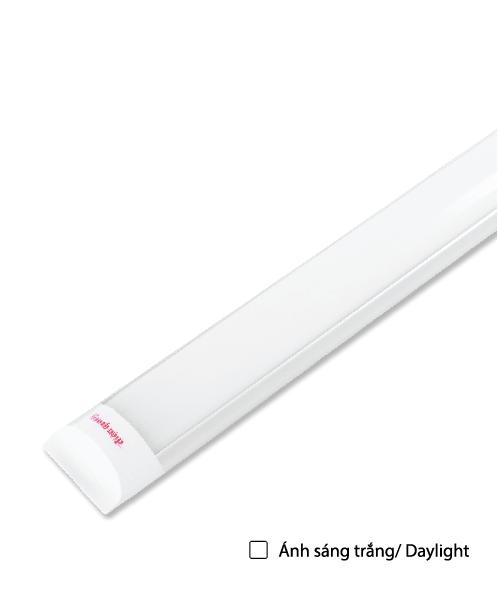 Bộ đèn LED Mica Điện Quang ĐQ LEDMF02 36765 (1.2m 36W ánh sáng trắng, nguồn tích hợp)