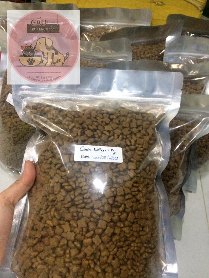 Thức ăn hạt khô Royal canin kitten 36 cho mèo con