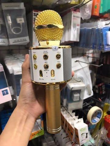 micro kèm loa bluetooth ws-858