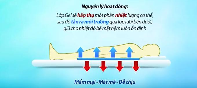 Nệm Làm Mát