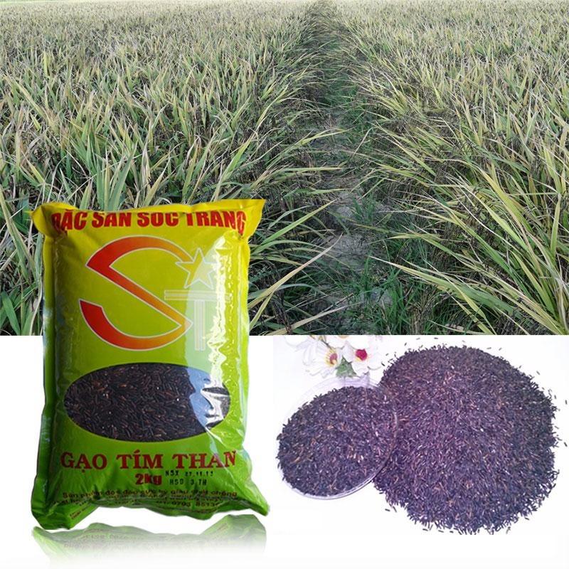 [HCM]Gạo Tím Than Sóc Trăng Túi 2kg