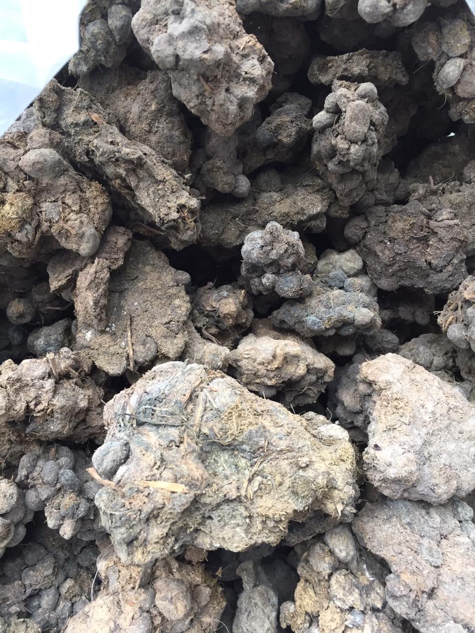 Phân dê đã ủ nấm Trichoderma tan chậm giúp thoáng rễ - 1kg