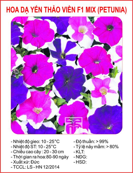 [Lấy mã giảm thêm 30%] Hạt giống Dạ yến thảo viền (50 hạt)