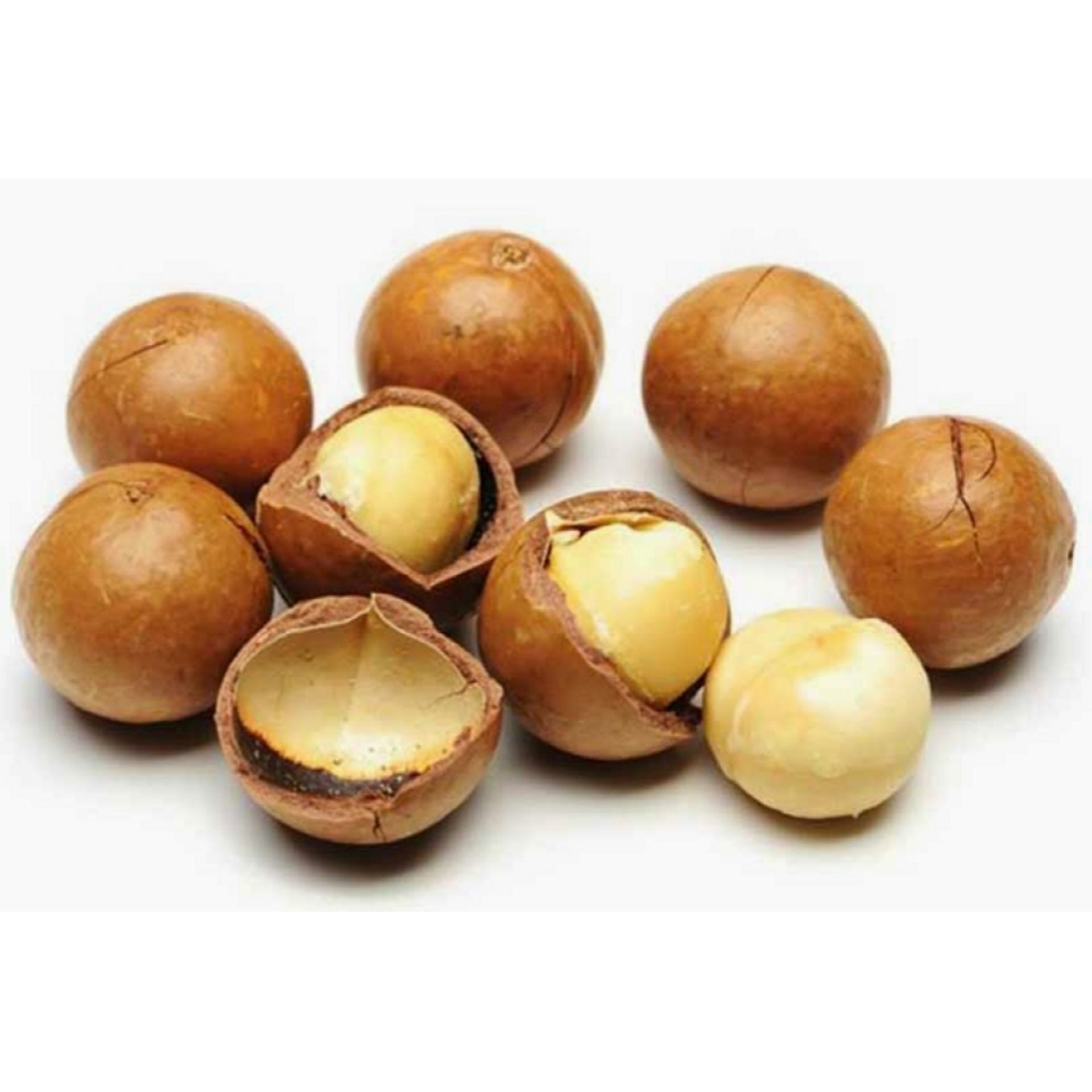 Hạt Mắc Ca Macadamia Nứt Vỏ 500g (Nhập Úc)