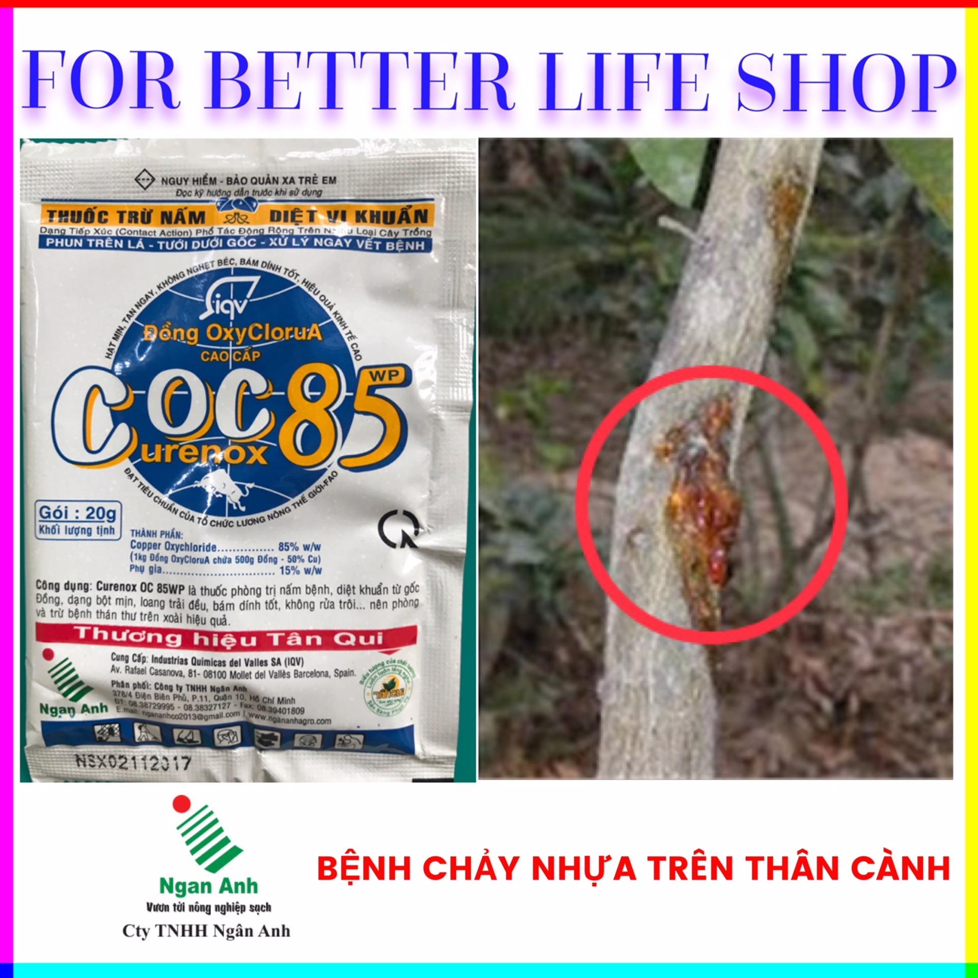 Bộ 5 gói Trừ bệnh mai vàng COC 85WP 20gram