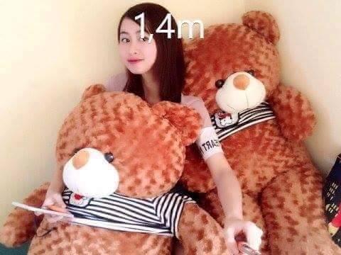 Gấu Bông Teddy Khổ Vải 1m4