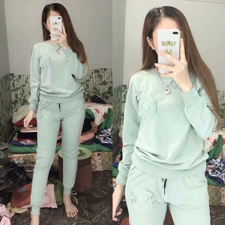 BỘ NỈ THU ĐÔNG HOA TRÀ