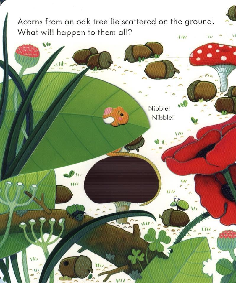 SÁCH LẬT GIỞ USBORNE PEEP INSIDE A TREE