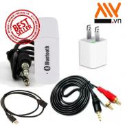 Bộ USB Bluetooth Wireless DMZMusic Receiver tạo kết nối bluetooth cho