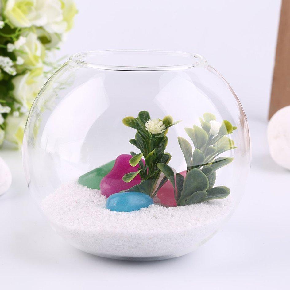 OH Transparent Micro Meaty Bryophytes Landscape Glass Vase Bottle With Cover Transparent