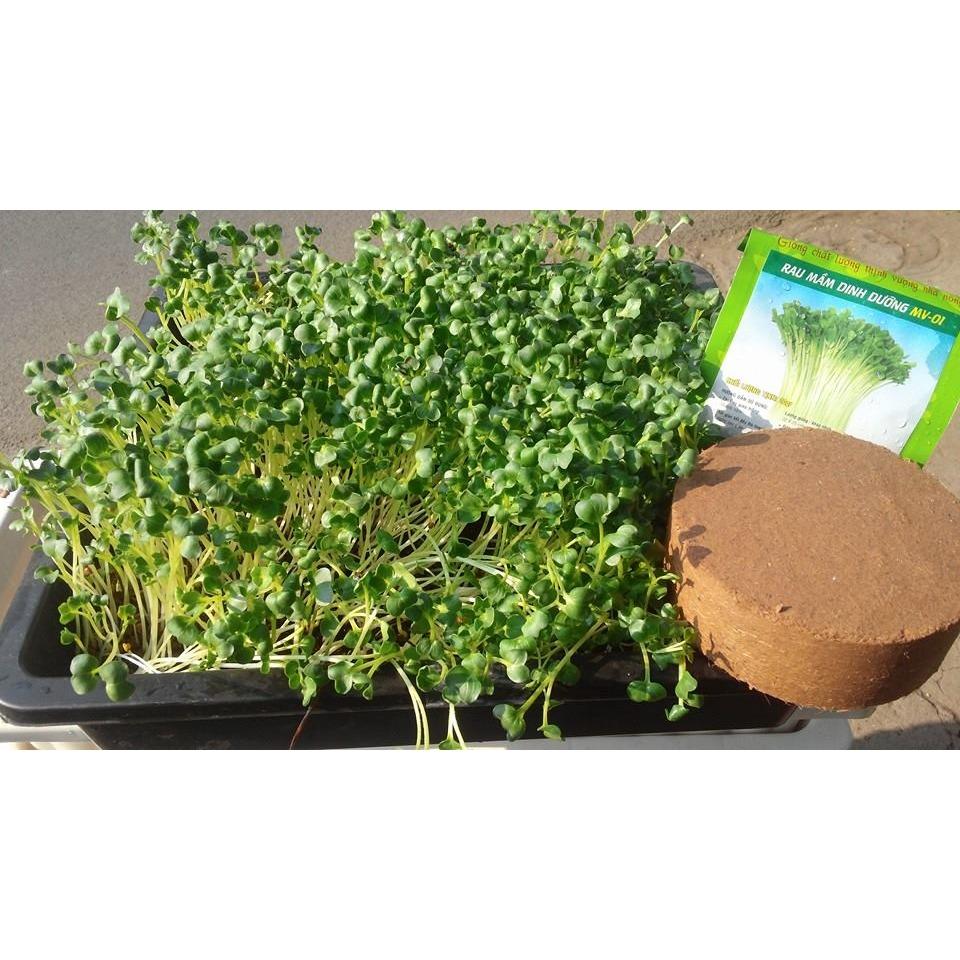 Đất sạch mụn dừa ép bánh trồng rau sạch, trồng cây, trồng rau mầm, trộn đất tơi xốp